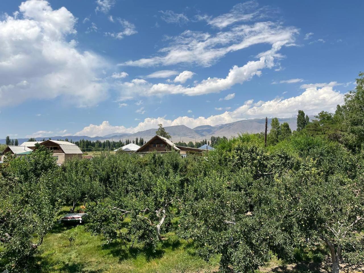 "Bilim" Guest House Tamchy Exterior foto