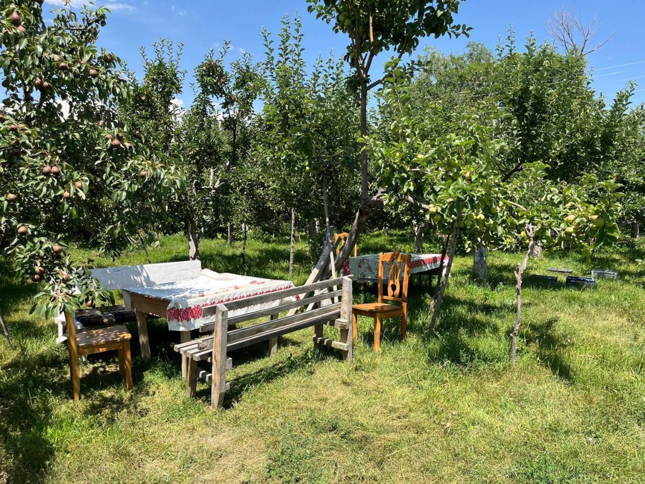 "Bilim" Guest House Tamchy Exterior foto