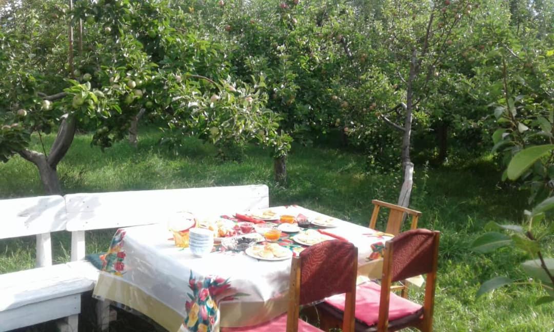 "Bilim" Guest House Tamchy Exterior foto